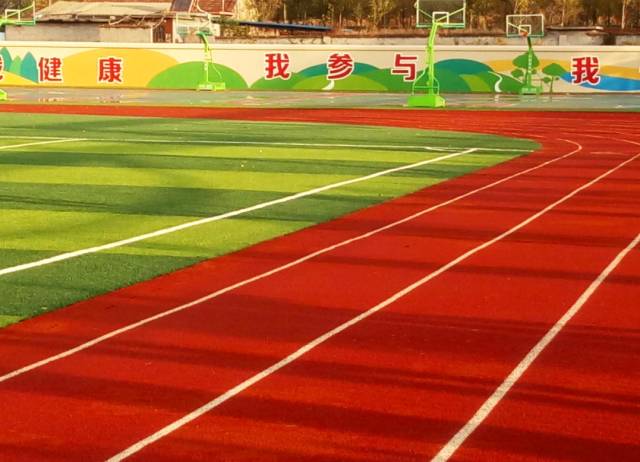 的膝盖和背 的膝盖和背